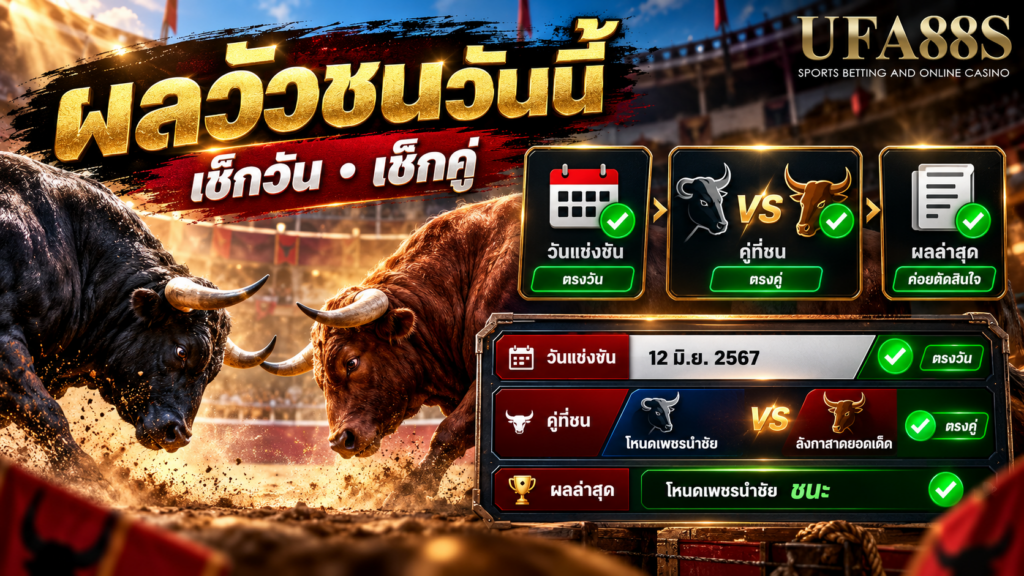 แทงวัวชน ตรวจ ผลวัวชนวันนี้ ให้ตรงวันและตรงคู่