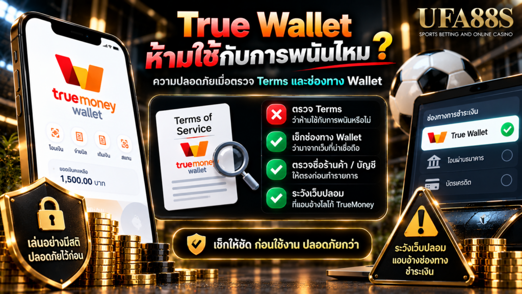 ความปลอดภัยเมื่อตรวจ Terms และช่องทาง Wallet